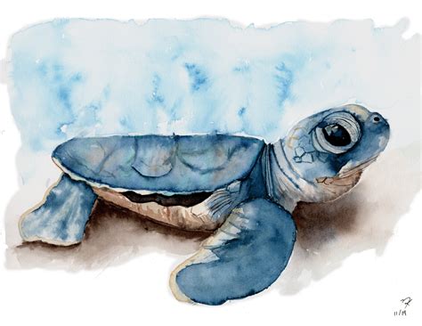 Baby Sea Turtle Watercolour Painting Art Print Baby Turtle Etsy