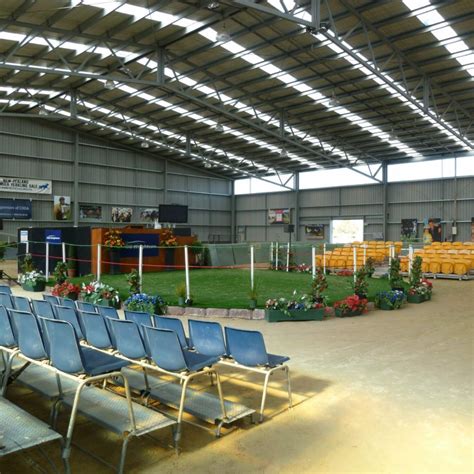 Indoor Arena Christchurch Riding For The Disabled