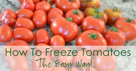 Maybe you would like to learn more about one of these? 33 Shades of Green: How to Freeze Tomatoes - The Easy Way!