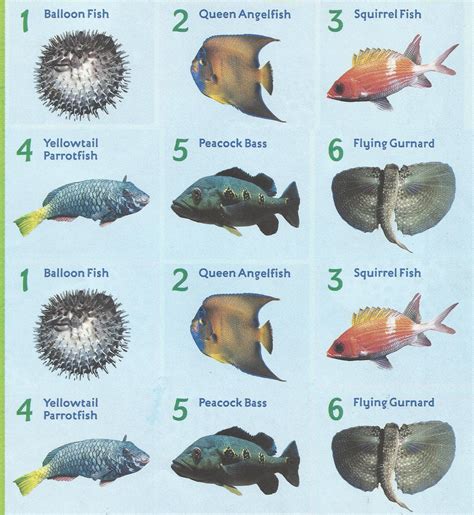 Names Of Fishes List Of Fish Names 2017 Fish Tank Maintenance