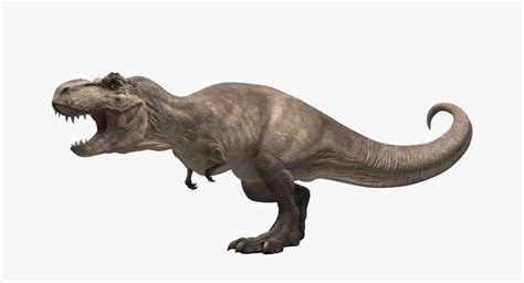 Dinosaurio Tiranosaurio Rex Velociraptor Dilophosaurus Un D Png The