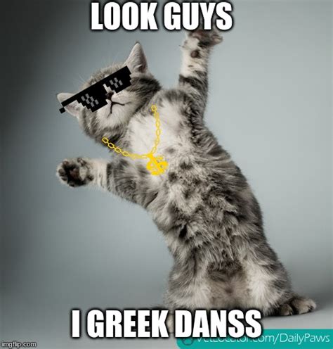 Image Tagged In Cat Dancing Imgflip