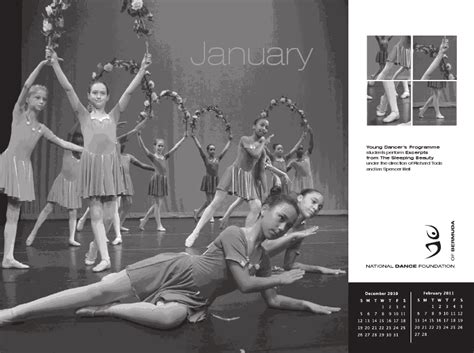 National Dance Foundation 2011 Calendar Bernews