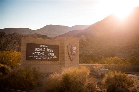 Things To Do In Joshua Tree National Park Travel Caffeine