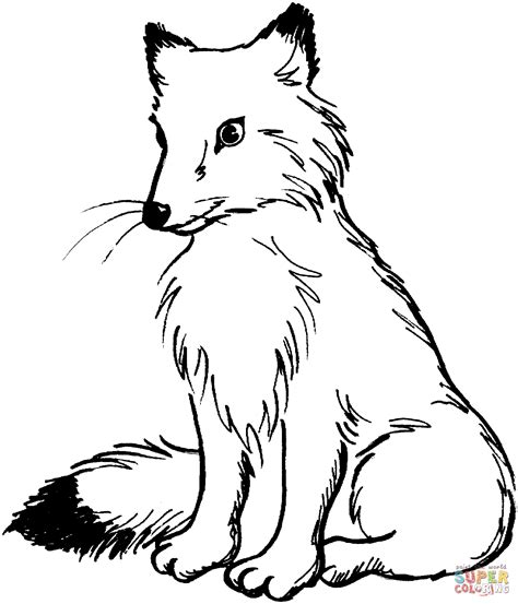 Gambar Red Fox Black Tail Coloring Page Free Printable Pages Click Di