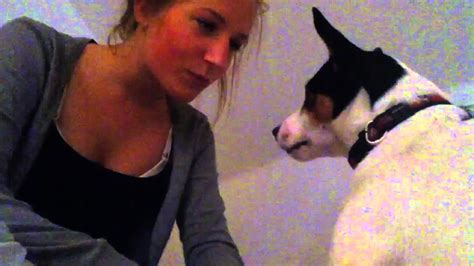Dog Wants To Kiss Girl Youtube