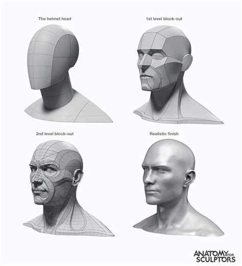 The Elements Of Art Form By Anatomy For Sculptors