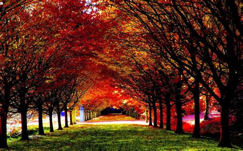 Beautiful Autumn Desktop Wallpapers Bigbeamng