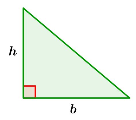 Área De Un Triángulo Rectángulo Fórmulas Y Ejercicios Neurochispas