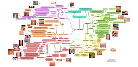 Exames De Pele Mapa Mental Semiologia Uit 20211 Melina Dias Pereira
