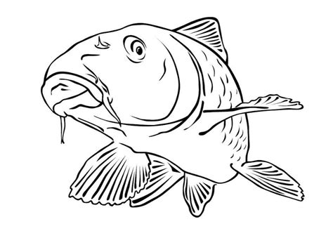 Malvorlage Fisch Einfach Malvorlagen