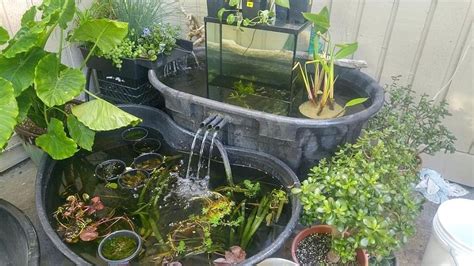 25 Cheap Diy Ponds To Bring Life To Your Garden Decorpion