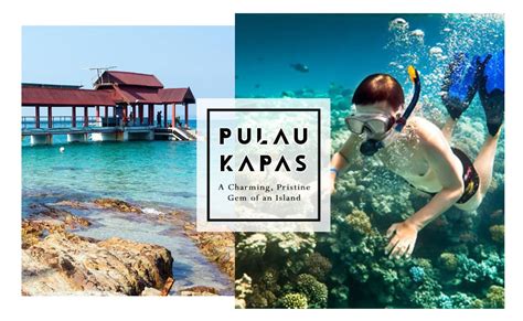 Steps from summer bay resort beach. Pulau Kapas: A Charming, Pristine Gem of an Island