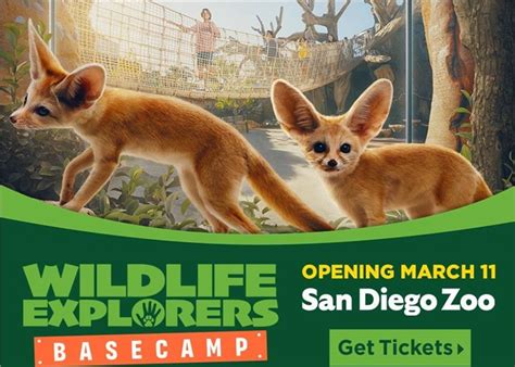 Wildlife Explorers Basecamp The Official Travel Resource For The San