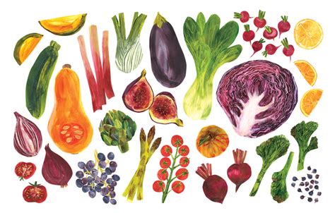 fruit and vegetables rachael horner illustration