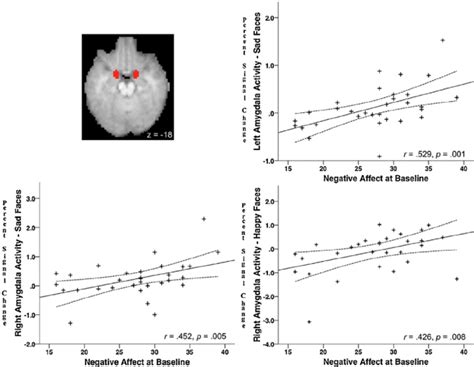 Amygdala Activity Is Related To Baseline Parent Reported Negative