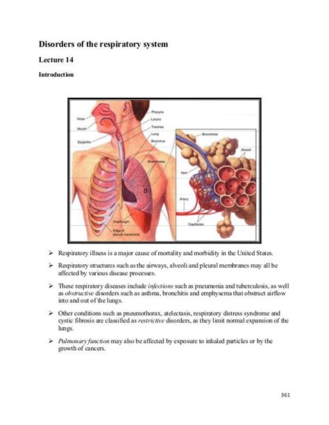 Lecture 14 Disorders Of The Respiratory System Pathology