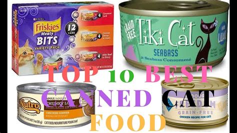 If you love your cat and you put its health a priority, then fussie canned cat food is here for you. Top 10 best canned cat food - YouTube