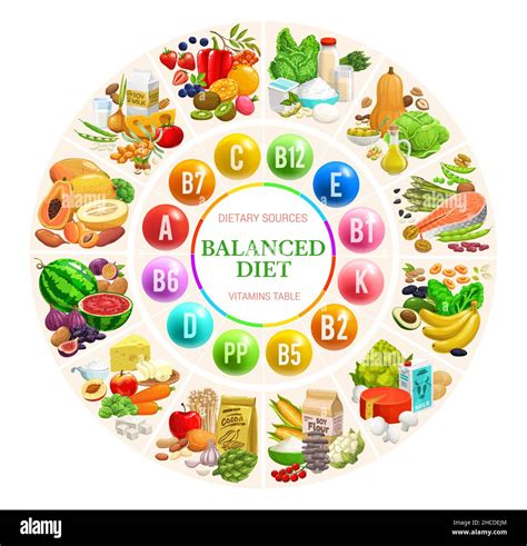 Gráfico De Diagrama De Dieta Equilibrada Infografía De Vectores De