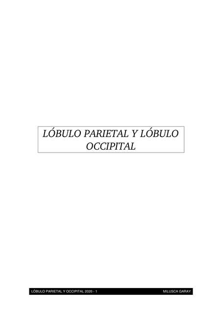 Lóbulo Parietal y Lóbulo Occipital psicosalud uDocz