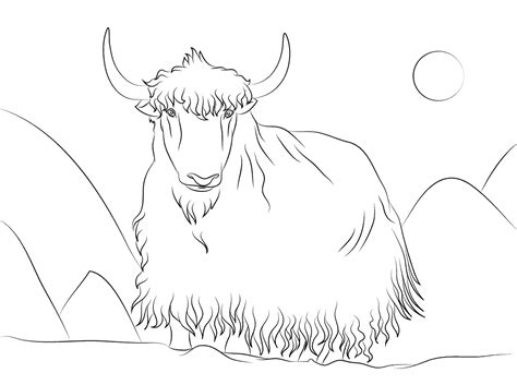 Yak Coloring Page Colouringpages