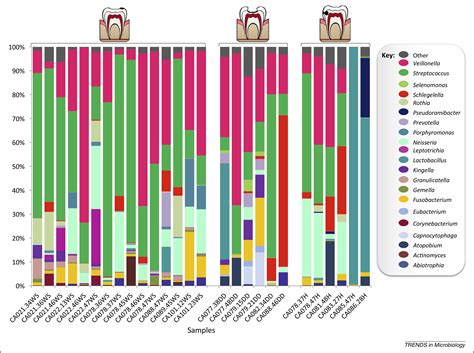 Solving The Etiology Of Dental Caries Trends In Microbiology