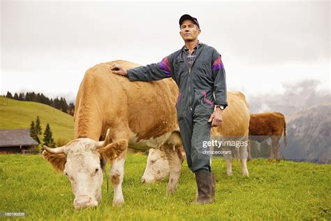 Swiss Dairy Farmer And His Prize Cows High Res Stock Photo Getty Images