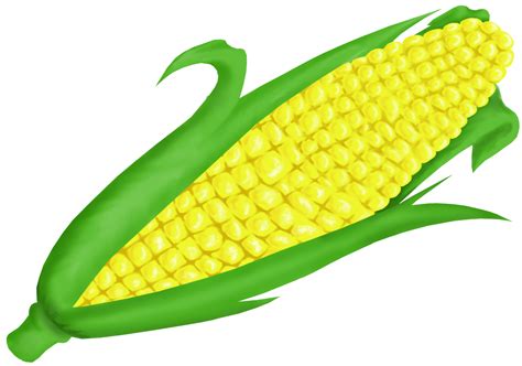 Free Corn Transparent Download Free Corn Transparent Png Images Free Cliparts On Clipart Library
