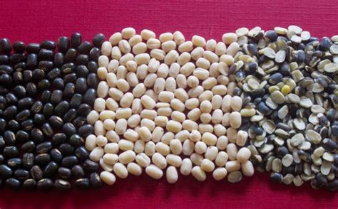Black Gram Urad Dal Whole With Skin Whole Skinless And Split With