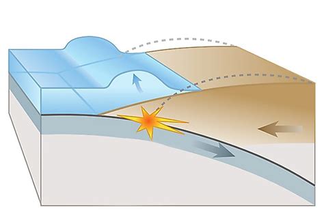 Görselleri cutaway diagram of a typical tsunami inundation. Tsunamis: When Tectonics and Water Combine - WorldAtlas.com