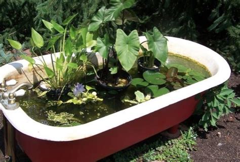 So, what would you do with an old bathtub? 9 Small Backyard Pond Ideas