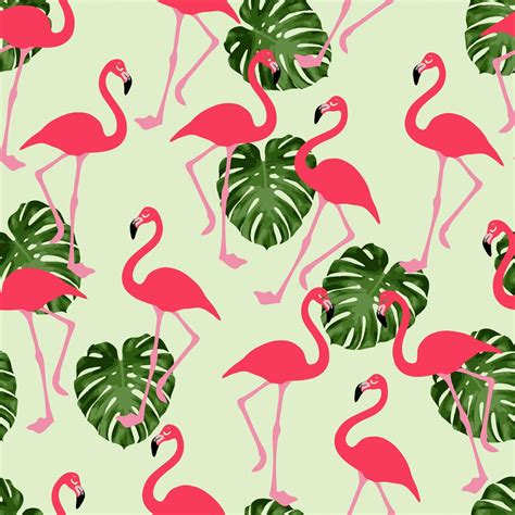 Pink Flamingo Wallpapers Top Free Pink Flamingo Backgrounds Wallpaperaccess