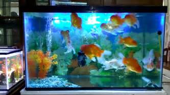 Aneka model meja aquarium jati jepara minimalis modern dan ukiran harga murah mulai 3 jutaan.meja aquarium modern dari ukuran 120 sampai 2. 11+ Gambar Sketsa Ikan Aquarium, Gambar Kekinian