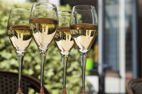 Champagne Glasses 101 The Best Types To Use For The Festive Season