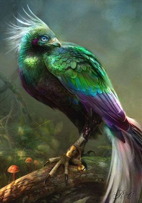 12 Best Mythical Birds Images Mythical Birds Mythical Creatures Birds