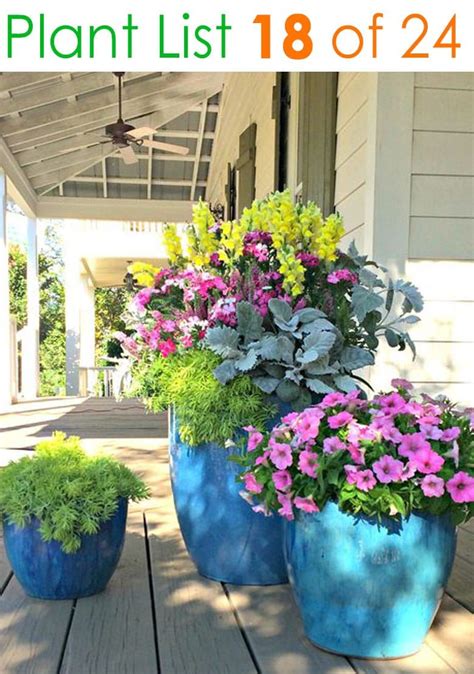 Plant Combination Ideas For Container Gardens Beautiful Flower
