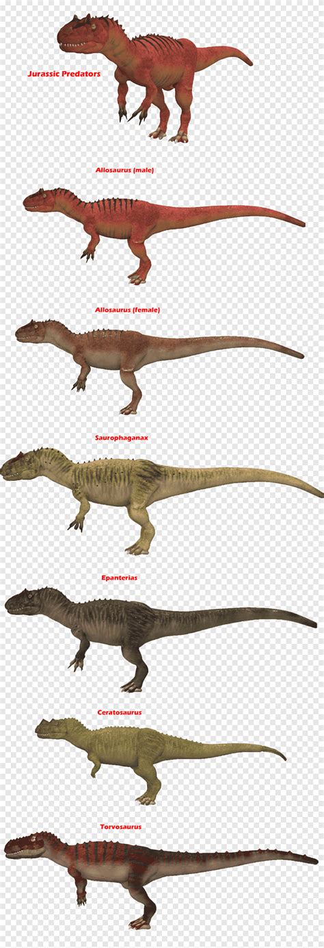 Velociraptor Allosaurus Saurophaganax Torvosaurus Epanterias Dinosauro Allosauridae