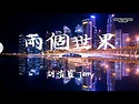 胡清藍 Terry - 兩個世界 (歌詞字幕 Lyrics) Chinese Song - YouTube
