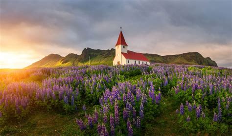 15 Photos Of Iceland In Summer To Inspire Your Next Trip