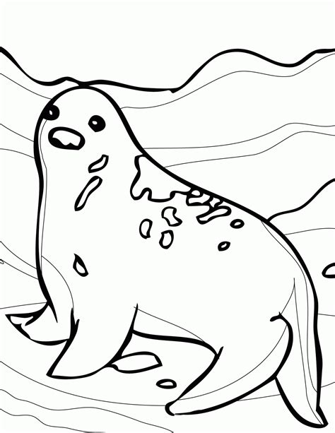 Seals Coloring Pages Coloring Home