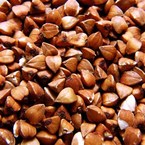 Buckwheat groats are the intact hulled seeds of buckwheat. Dehulled Buckwheat - Gluten free - AGT Foods