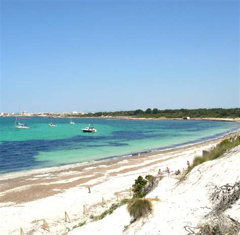 Hüllenloser Badespaß FKK Strände auf Mallorca das nackige Dutzend WELT