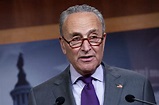 Chuck Schumer urges Democrats to band together and OPPOSE GOP ...