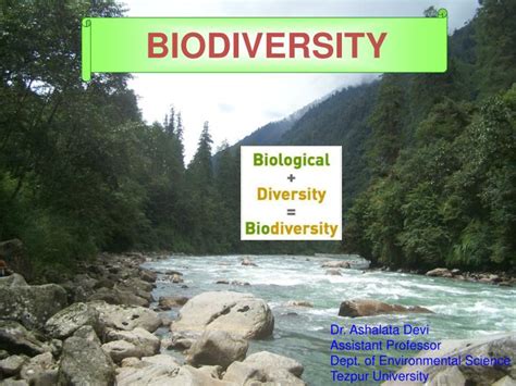 Ppt Biodiversity Powerpoint Presentation Free Download Id5872552