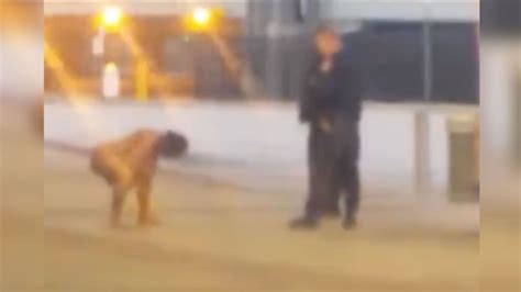 Bizarre Footage Shows Cops Tackling NAKED Kung Fu Fighting Woman Outside New York S Central