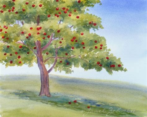 The white deflects light and heat away from the tree trunk to prevent sun scorch when the trees are bare and do not have their foliage to protect them. Zeh Original Art Blog Watercolor and Oil Paintings: Apple ...