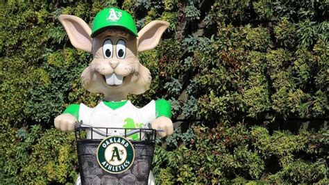 As Introducing Modern Harvey The Rabbit Ballpark Digest