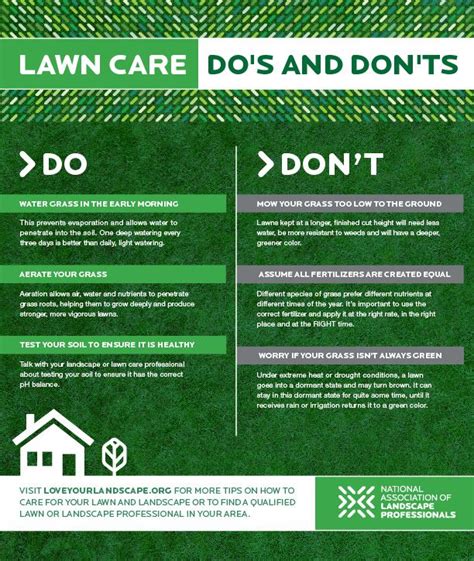 Lawn Care Dos And Donts For Linking Lawn Care Business Lawn Care