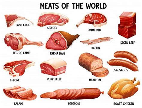 Carne De Porco Em Inglês Modisedu