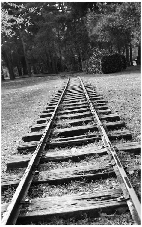 Old Train Tracks Going In The Woods Transportation Photos Photom